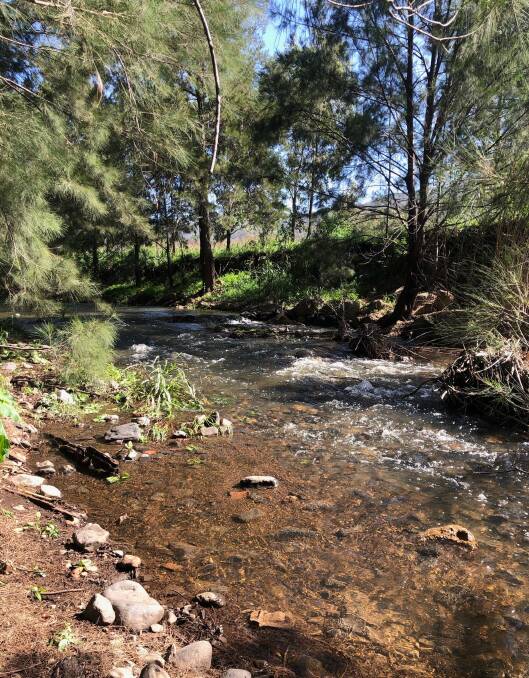 Crystal clear water runs down the Pages River on Monday. Photo: Supplied