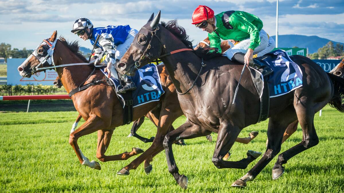 SUCCESS: Itz Lily (left) winning the Muswellbrook Cup on Friday. Picture: Muswellbrook Race Club