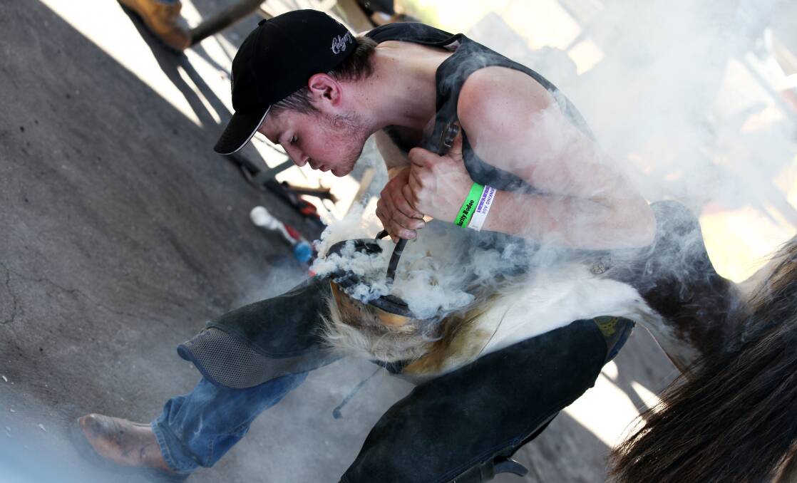 ACTION-PACKED: The Farriers and Blacksmith Competition is just one of the highlights of the Festival. Photo: Mandy Kennedy, Magic Lantern Photography.