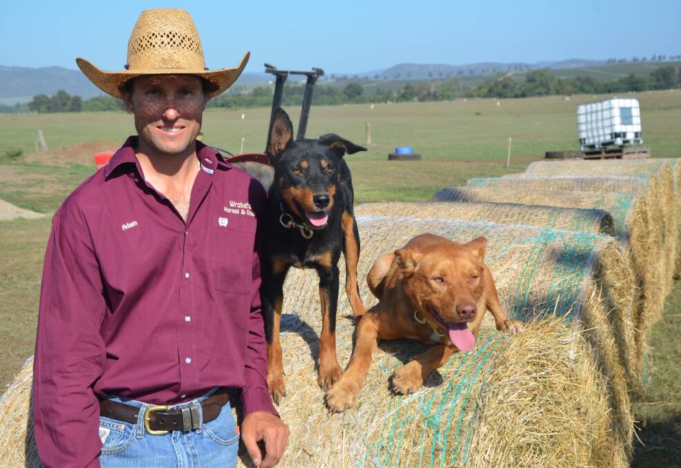 SALE: Adam Wrobel, Denman, with Macelbri Shift and Wrobels Flea who will be offered at the National Working Stock Dog sale at Murrurundi in June.