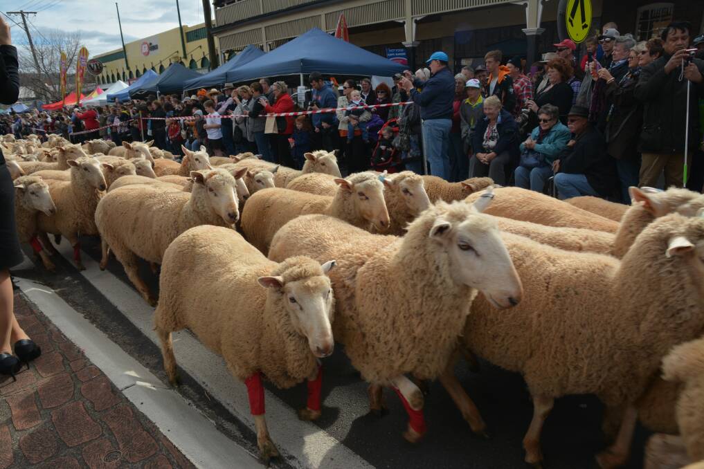 The popular Merriwa event drew crowds from far and wide.