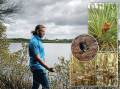NATURE AND CULTURE: Kentan Proctor, from Bahtabah Local Aboriginal Land Council, at Belmont Lagoon, and, inset, scenes of nature along the southern end of the Fernleigh Track. Pictures: Max Mason-Hubers 