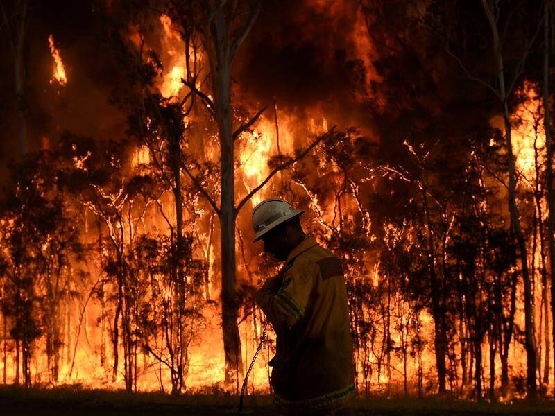 The bushfires royal commission will begin its final week of hearings on Monday.