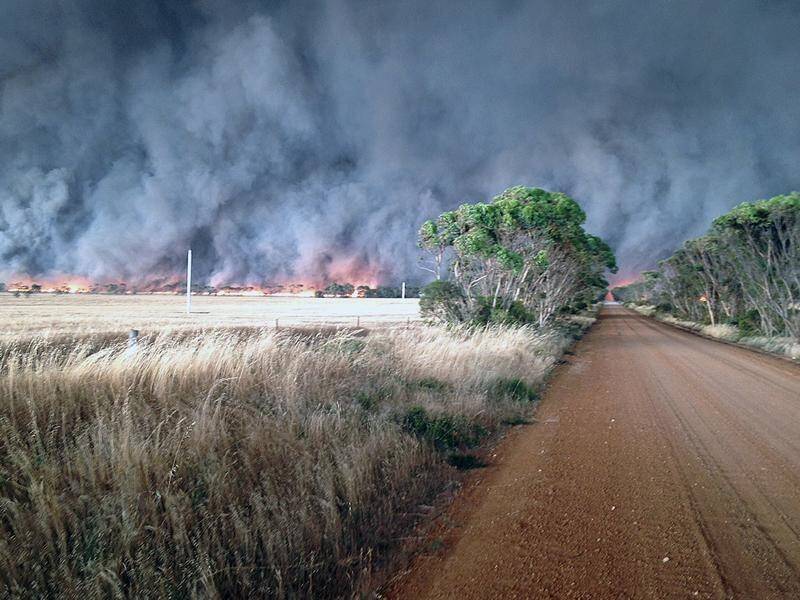 A WA coroner is looking into a bushfire at Scaddan, near Esperance, which killed four people.