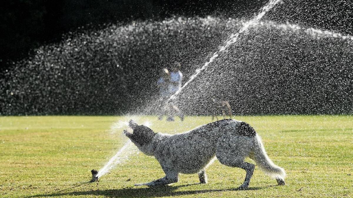 The next five years are expected to provide perfect weather for mad dogs and Englishmen. (Joel Carrett/AAP PHOTOS) The next five years are expected to provide perfect weather for mad dogs and Englishmen. (Joel Carrett/AAP PHOTOS)