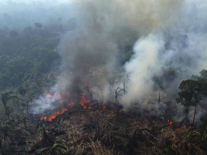 There have been 2,606 fires in Roraima in two months compared with 2,659 during all of 2023. (AP PHOTO)