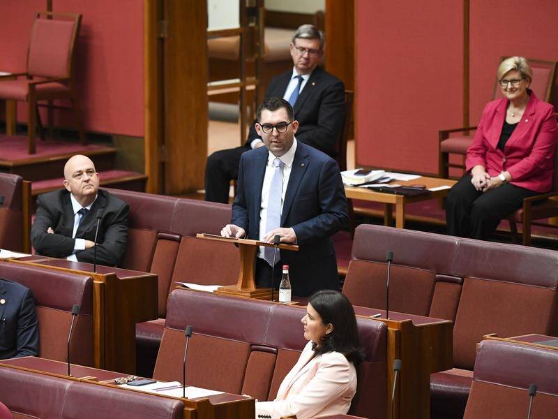 Liberal Ben Small resigned from the Senate on Friday after discovering he had dual citizenship.
