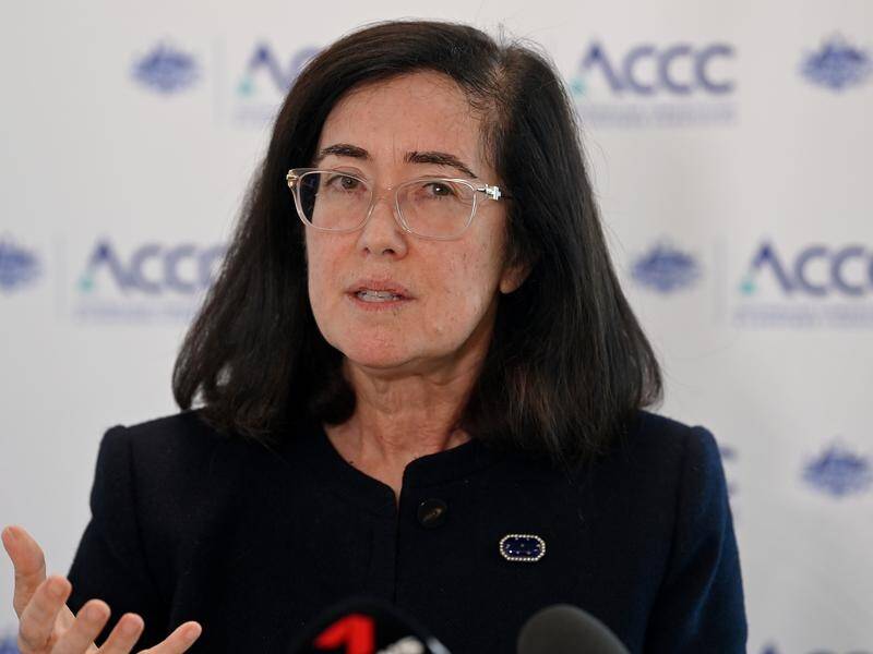 Scammers are taking advantage of the Optus data breach, the ACCC's Gina Cass-Gottlieb says. (Bianca De Marchi/AAP PHOTOS)