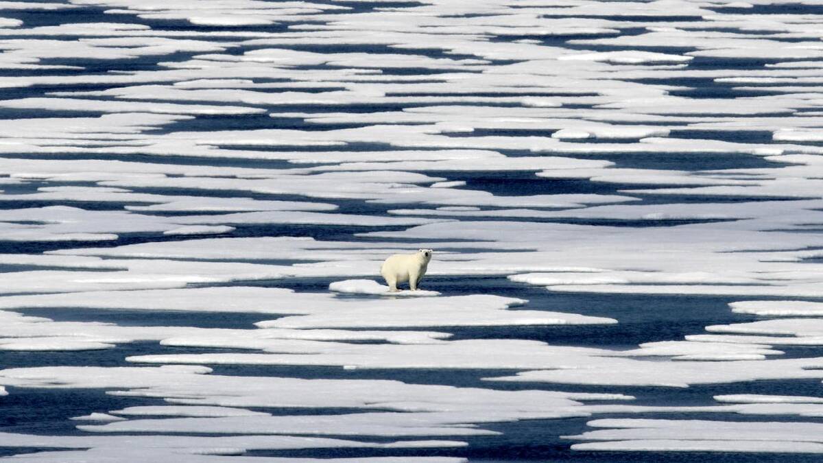 Arctic sea-ice is tipped to melt earlier in the year in many areas over the next half decade. (AP PHOTO) Arctic sea-ice is tipped to melt earlier in the year in many areas over the next half decade. (AP PHOTO)