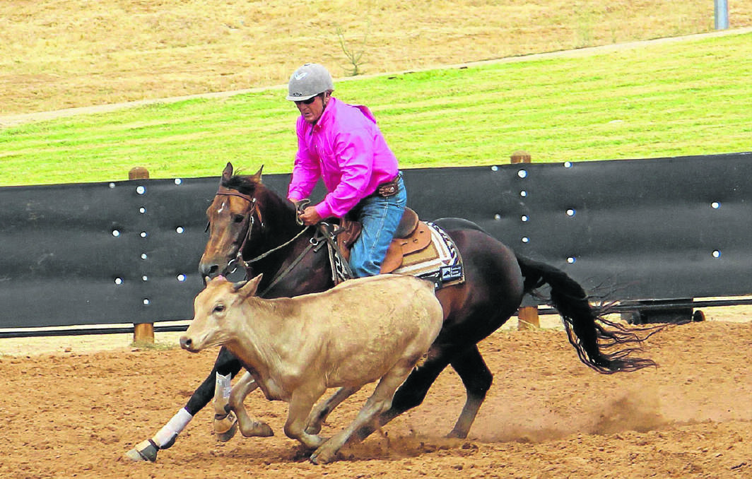 Allan Young of Dartbrook rode stallion Acres Liberty Beau to win the Open Horse event at the 2014 ABCRA National Campdraft Finals in Tamworth recently.
